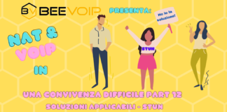 NAT E VOIP: Una convivenza difficile – parte 12