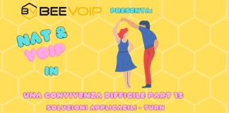 NAT E VOIP: Una convivenza difficile