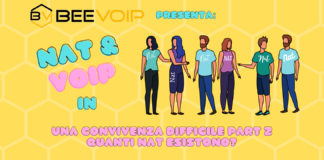NAT E VOIP: Una convivenza difficile – parte 2