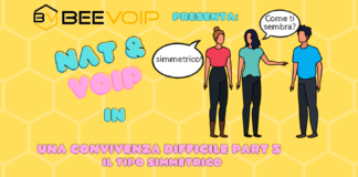 NAT E VOIP: Una convivenza difficile – parte 5