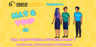 NAT E VOIP: Una convivenza difficile – parte 7
