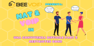 NAT E VOIP: Una convivenza difficile – parte 3