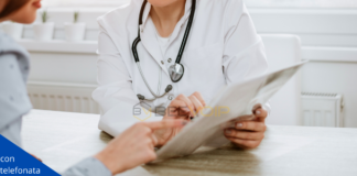 BEE-Talk DOCTORIN Tutorial – Disponibilità