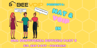 NAT E VOIP: Una convivenza difficile – parte 9