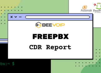 FreePBX guida: CDR Report