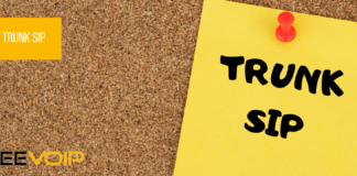 SIP: cos’è un Trunk SIP